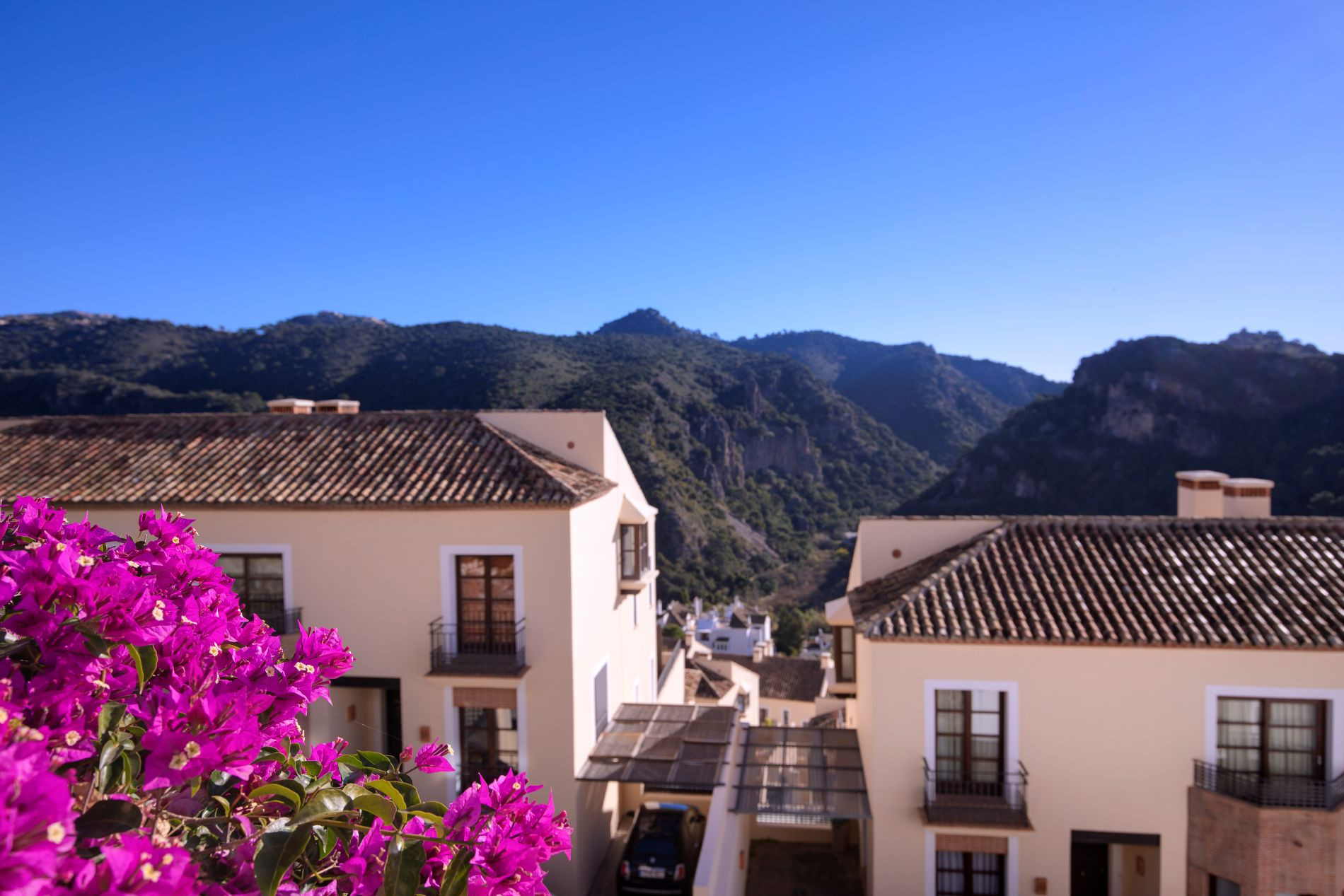 Benahavís
